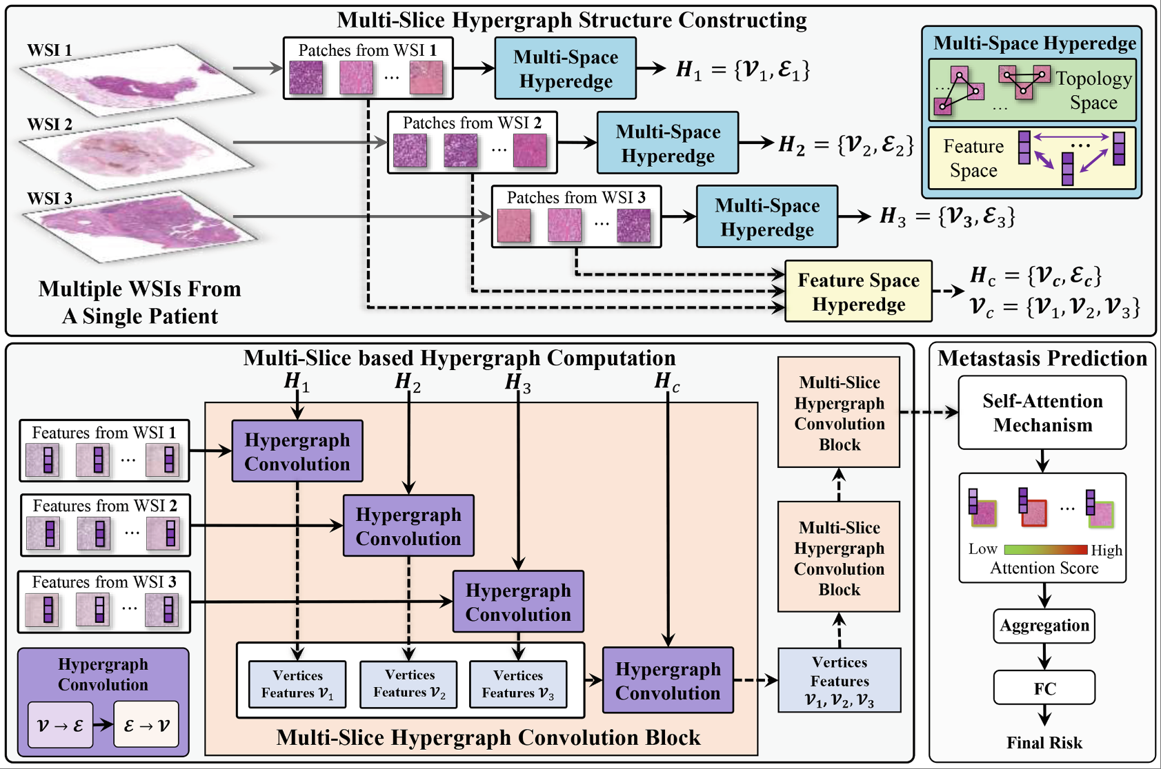 miccai2024b-fig1.png